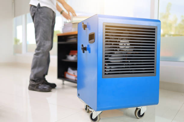 Best Mold Removal for HVAC Installations  in Kingsbury, NV